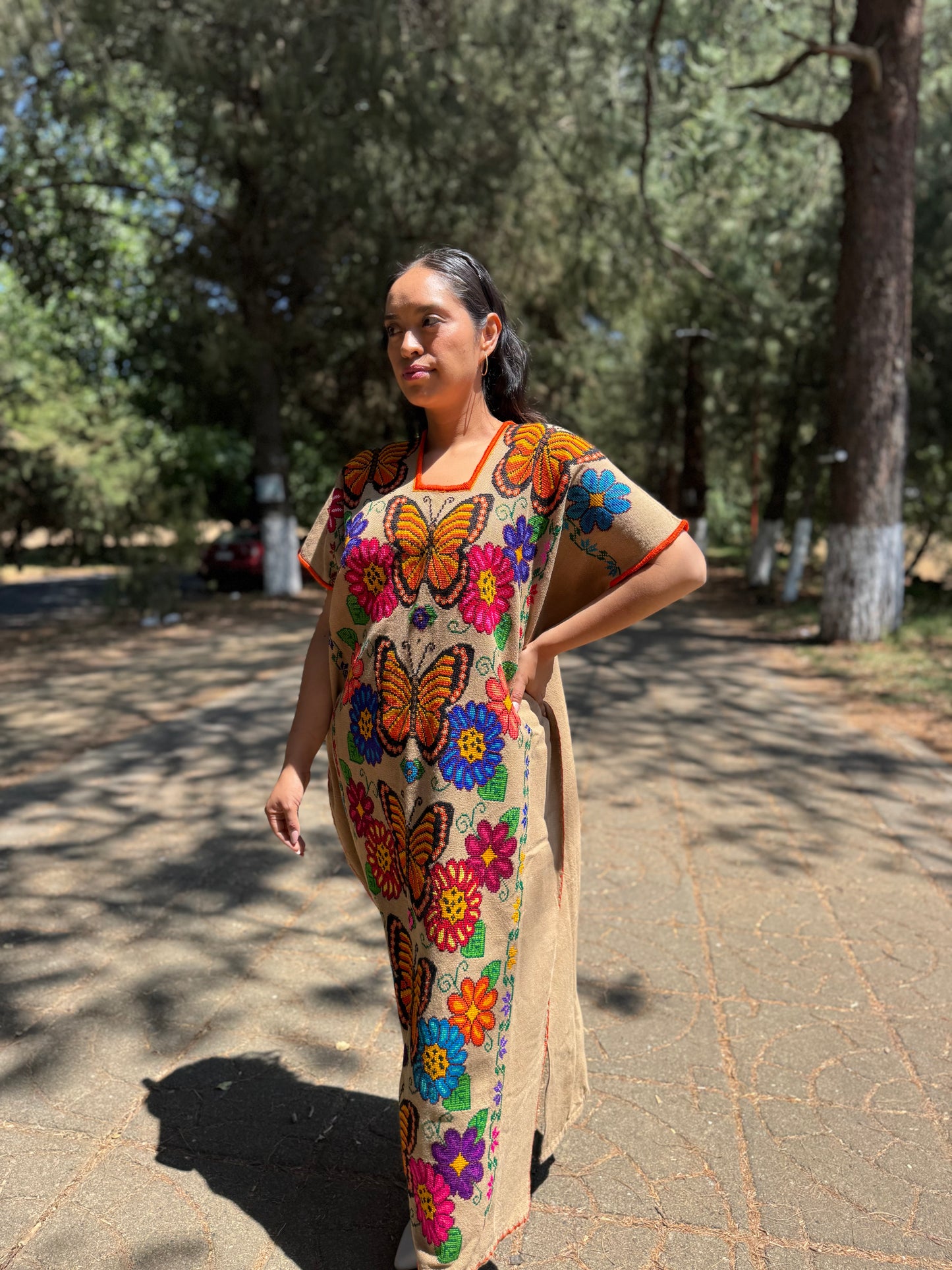 Huanengo largo mariposas viajeras