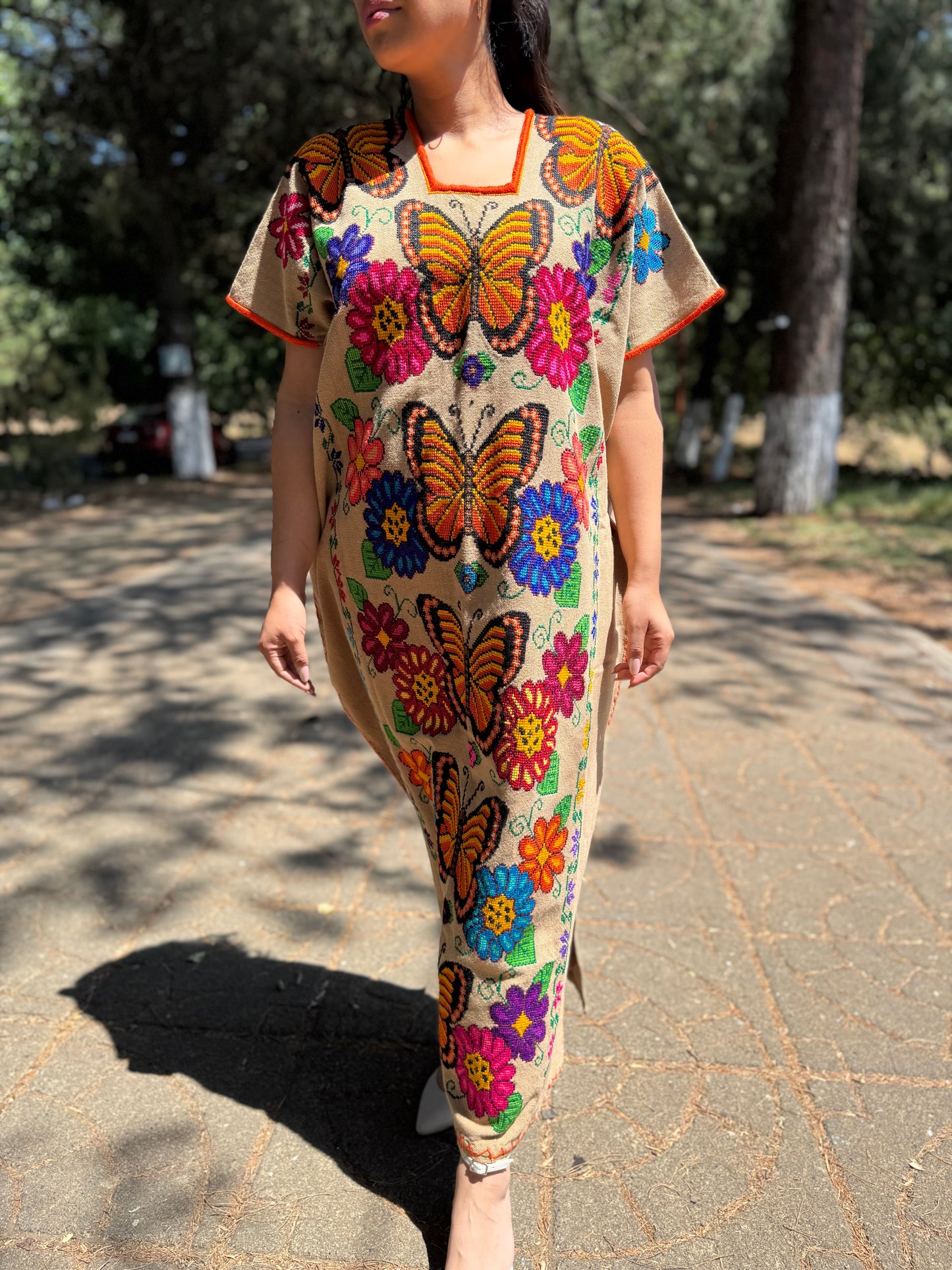 Huanengo largo mariposas viajeras