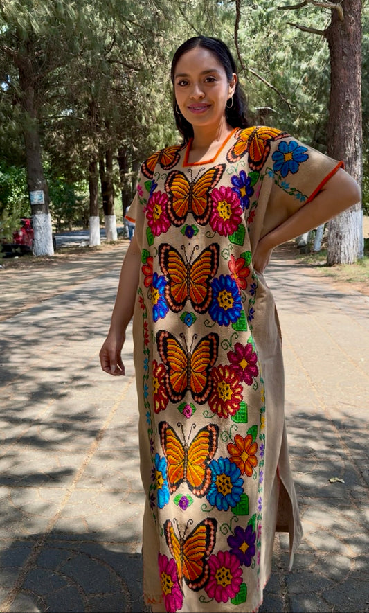 Huanengo largo mariposas viajeras