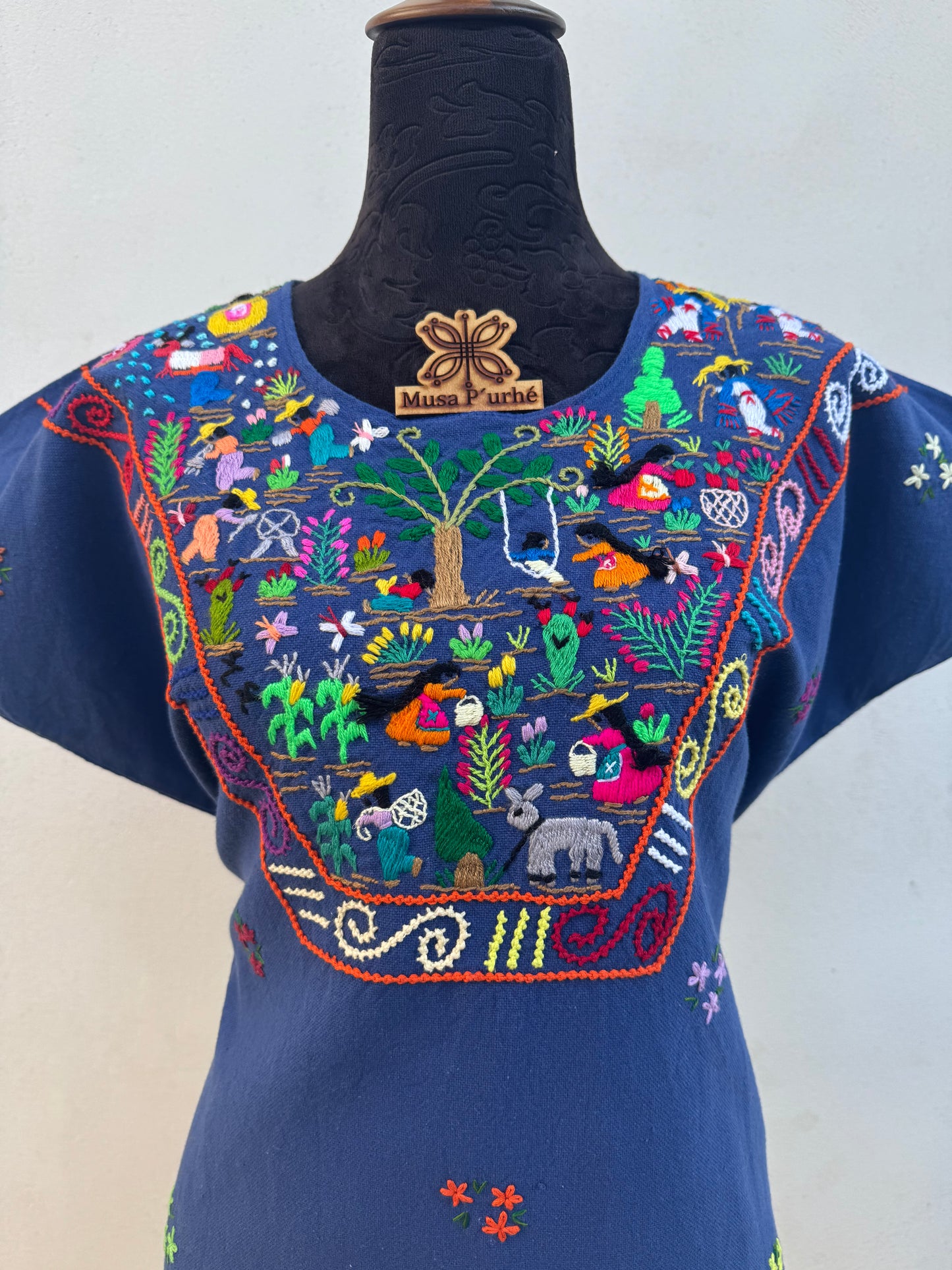 Huanengo Vida en el campo