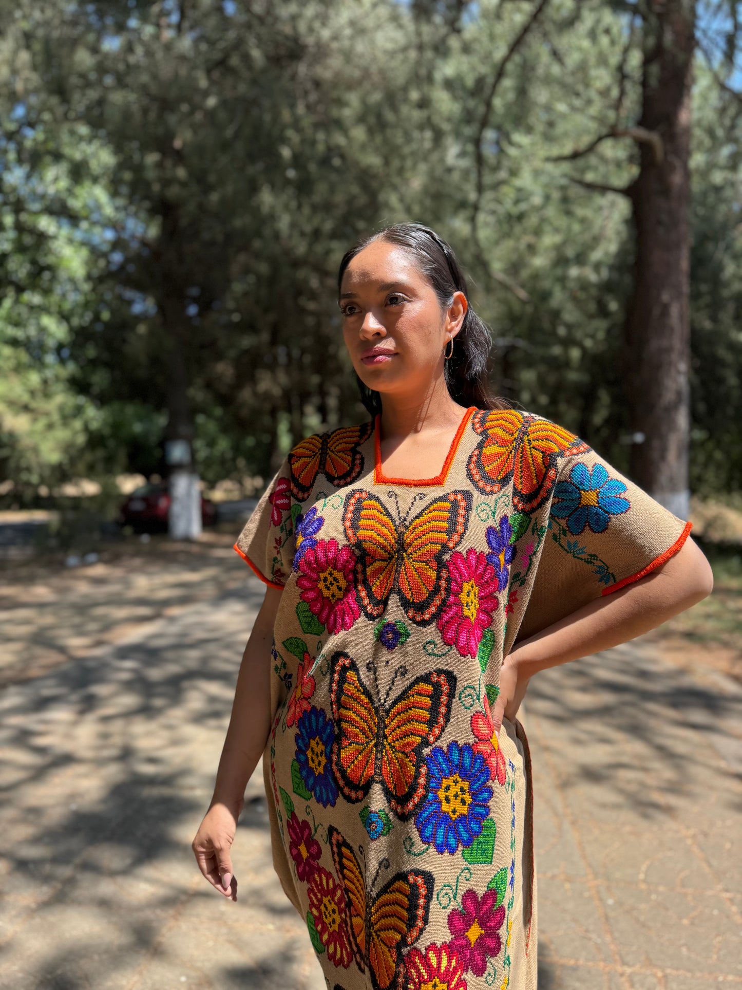 Huanengo largo mariposas viajeras