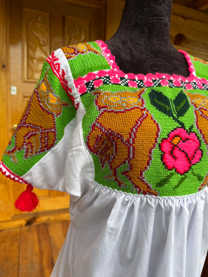 Huanengo tradicional