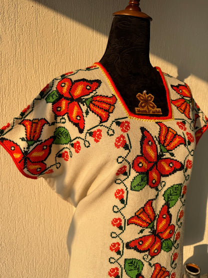 Huanengo Parakata Sapichu