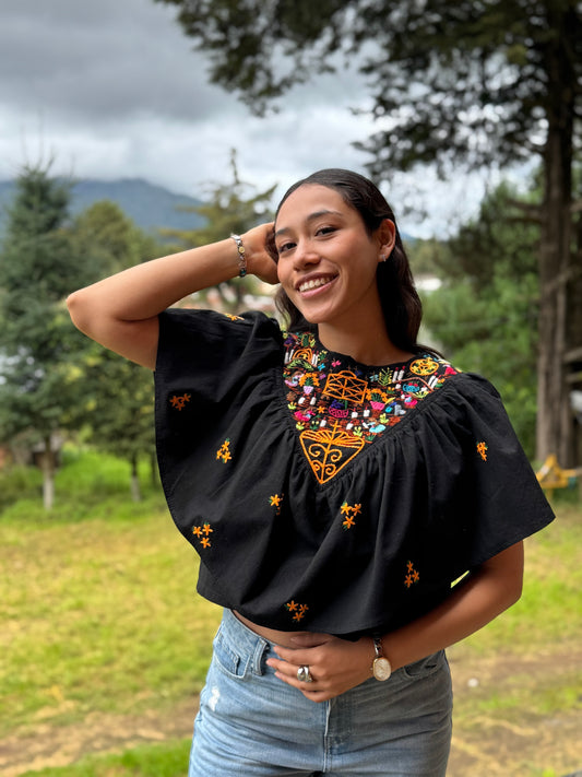 Top Janitzia Panteón Michoacano