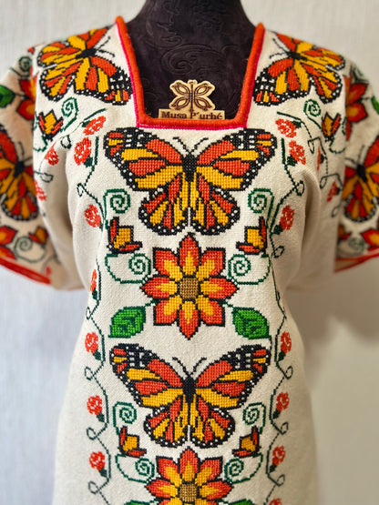 Huanengo Parakata Kolombrini