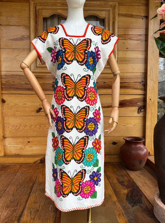 Huanengo largo mariposas viajeras