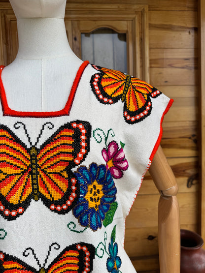 Huanengo largo mariposas viajeras